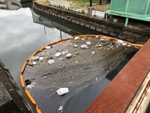 写真：河川に設置した回収フェンスで回収したごみ