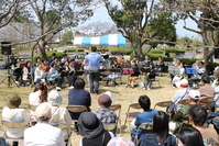 桜の下で吹奏楽を楽しむ参加者の写真