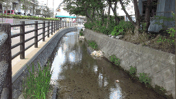 写真：指定保護区域