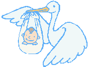 イラスト：赤ちゃんを運ぶコウノトリ