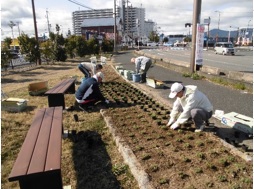 写真：ポケットパークに植樹を行う様子