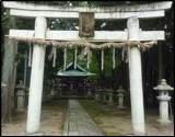 写真：今浜樹下神社