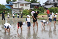 田植えをする子どもたちの写真