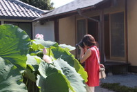 妙蓮の花を見入る観賞者の写真