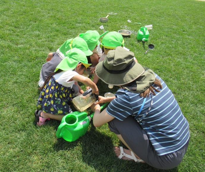 しゃしん　しばふ