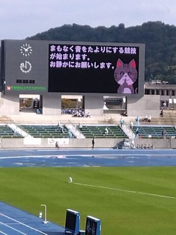 お静かにの表示