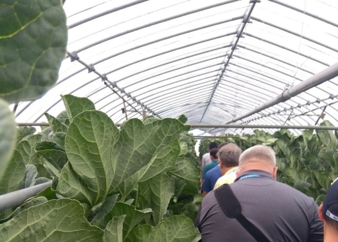 エイドリアン11