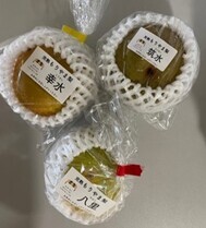 もりやま梨の画像